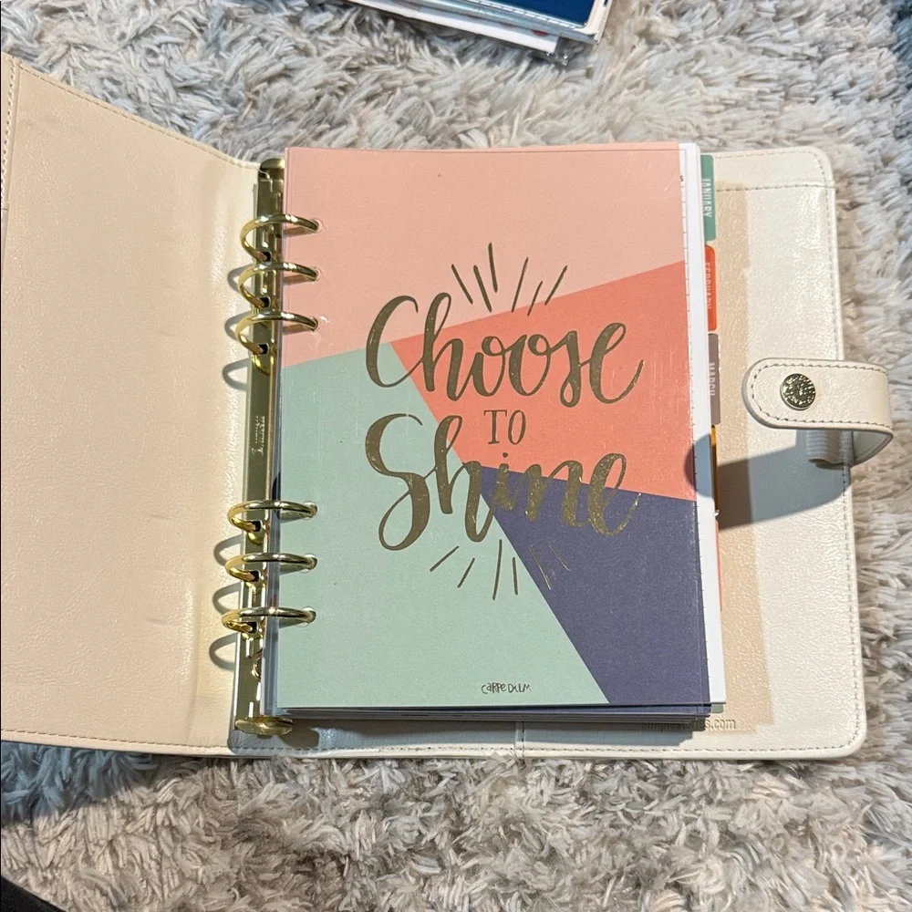 Carpe Diem Planner with Gold Accents and colorful pages